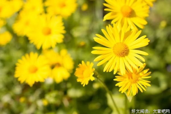 心若无尘，清风自来