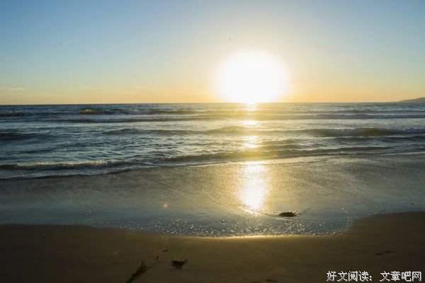心若无尘，清风自来