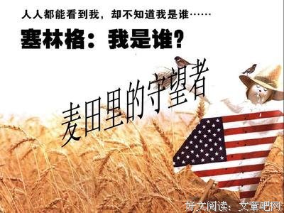 麦田里的守望者读后感摘抄