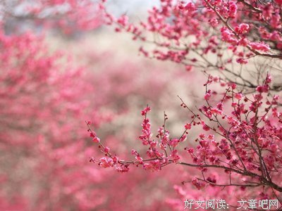 喜欢经典的句子