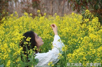 电影的优美句子