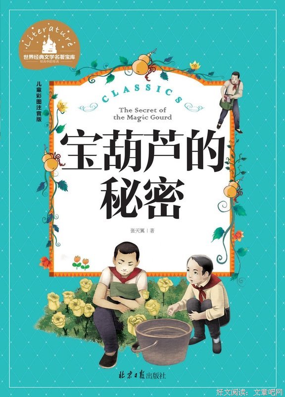 伟大的秘密读后感锦集