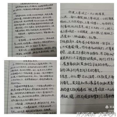 玩偶与珍珠读后感精选