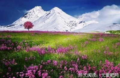 只因喜欢经典的句子