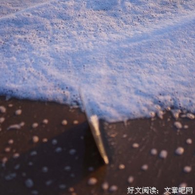 关于随心的句子