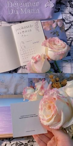 关于碎碎念的句子