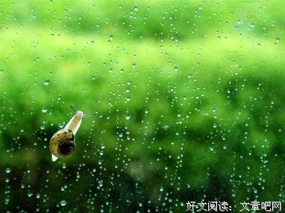 思念是成风有呼吸的痛的优美句子