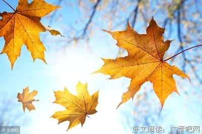 人之常情的句子
