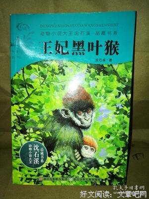 《王妃黑叶猴》经典语句