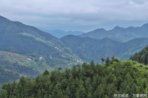 心淡然最美好，人简单最快乐