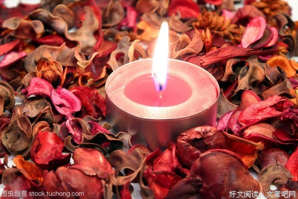 红蜡烛读后感摘抄