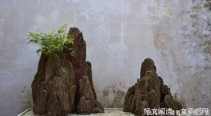 情的句子