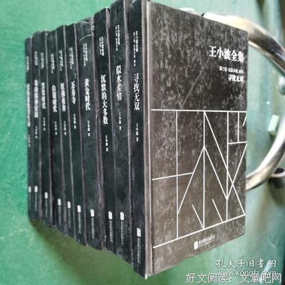 最全的《王小波全集》好段摘抄大全