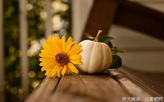 99%的善良，发生在你看不见的地方