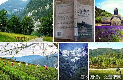 深情可抵岁月长·完结篇读后感100字