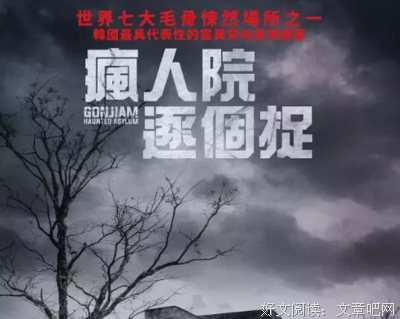 《恐怖疯人院》好看吗？经典影评锦集