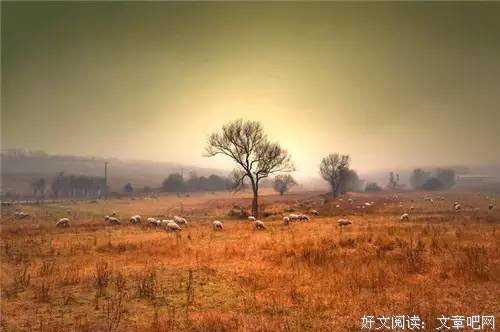 善良的人总是快乐，感恩的人总是知足！