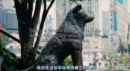 他来了，请闭眼好词好句