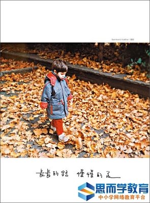 兄弟俩读后感精选