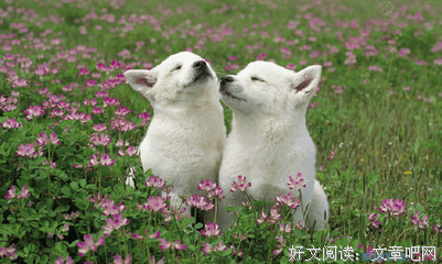 校园爱情优美的句子