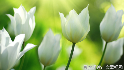 最全的《生命的未来》经典句子