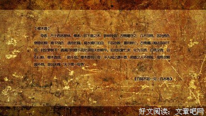 仅一眼，就倾心好词好句