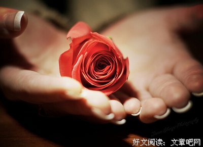 月白的句子