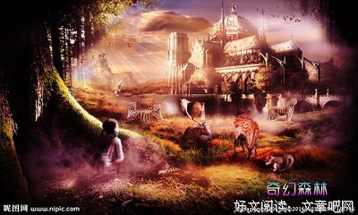 《我们的森林》经典观后感1000字