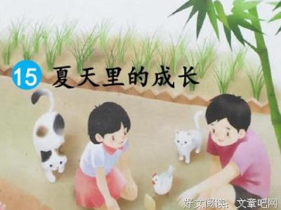 《被风吹乱的夏天》读后感锦集