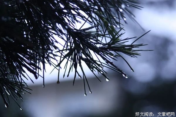 什么是人生？（最全面的回答）