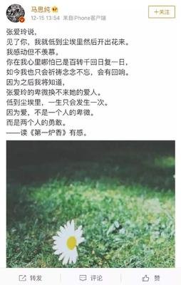 《观众缘》读后感100字