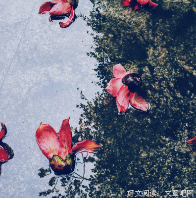 落花名句欣赏