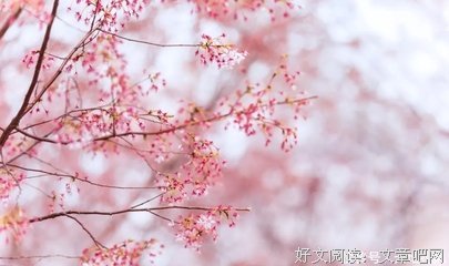 至美语句