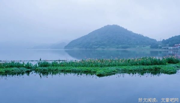 存一颗柔软心，笑看风云淡