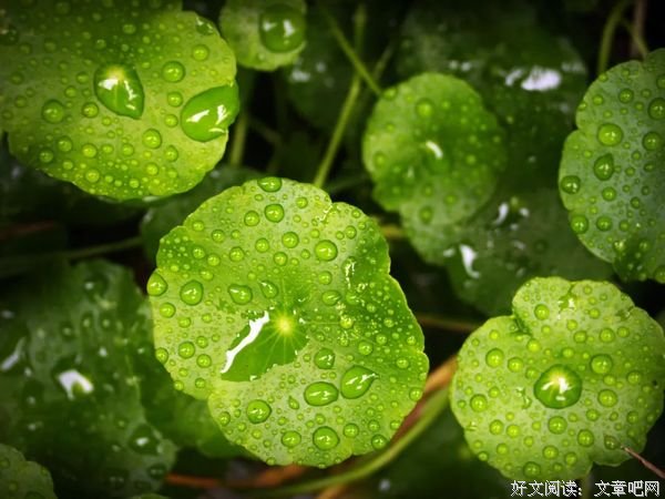 最好的生活，就是过好当下，期许未来
