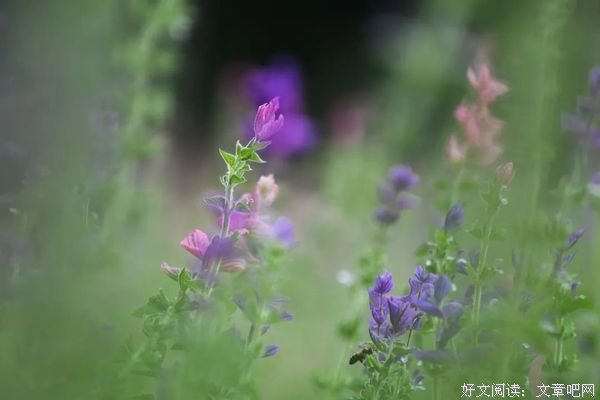 慢慢地读懂生活