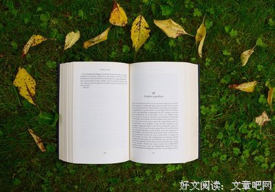 流浪者流浪不了该流浪的地方句子