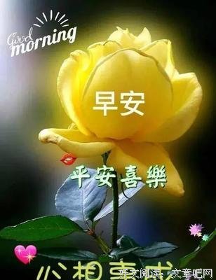关于别清醒，醉着吧的优美句子