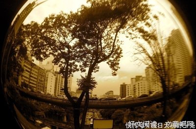 《2021年巴西美洲杯》好看吗？经典影评锦集