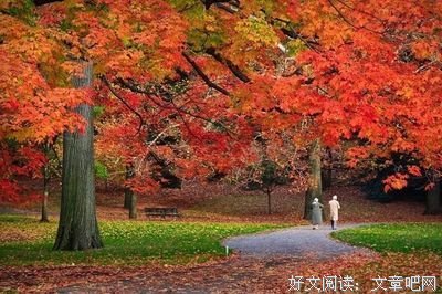 董到他种气了埃文种气了名人名言