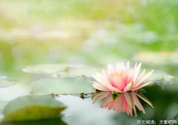 中年人为什么静不下心来
