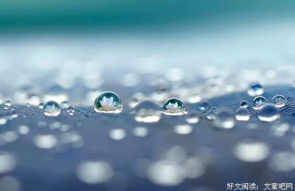 我是佛前一朵青莲
