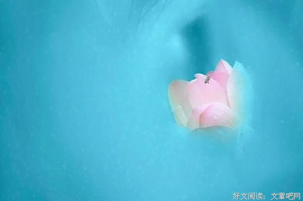 我是佛前一朵青莲