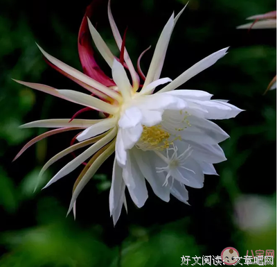 来之不易的句子