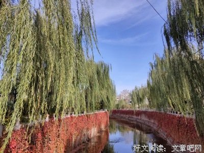 安静走着经典名句