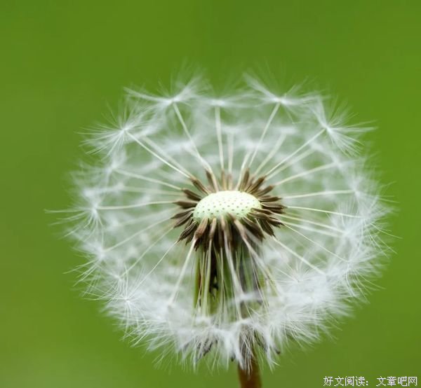 做人最好的姿态，是不讨好，不依赖