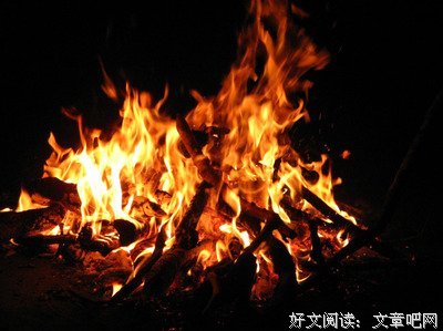 隐之王句子大全