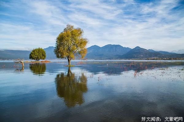 淡然心清静，淡定人从容