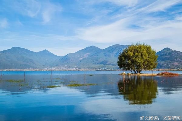 淡然心清静，淡定人从容