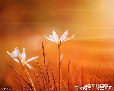 最新的《相忘于江湖》经典语录